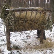 Охорона і захист лісів